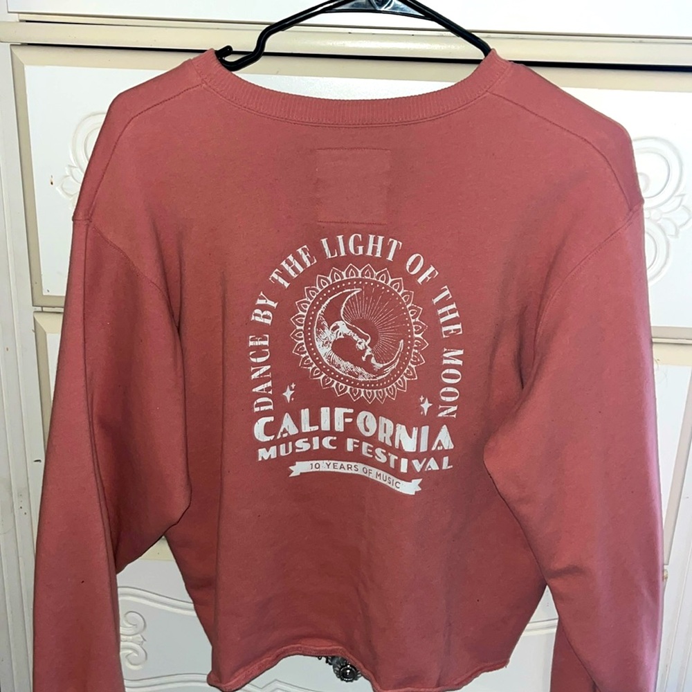 Hollister cropped sweatshirt